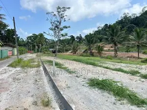 පින්නදූව අදිවේගී පිවිසුමට ලගින්ම බිම් කොටස්