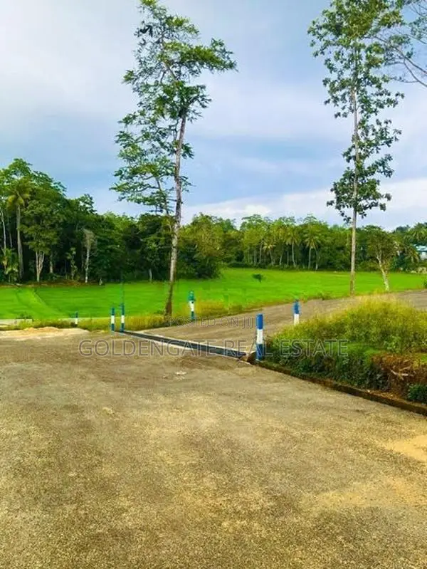 Matara පදිංචියට හොඳ ඉඩමක් සුන්දර වෙල් යායකට සමීපව විකිණීමට
