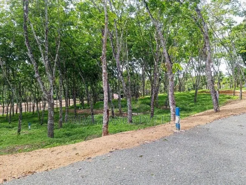 Calm Lands Plots in Near Ahangama
