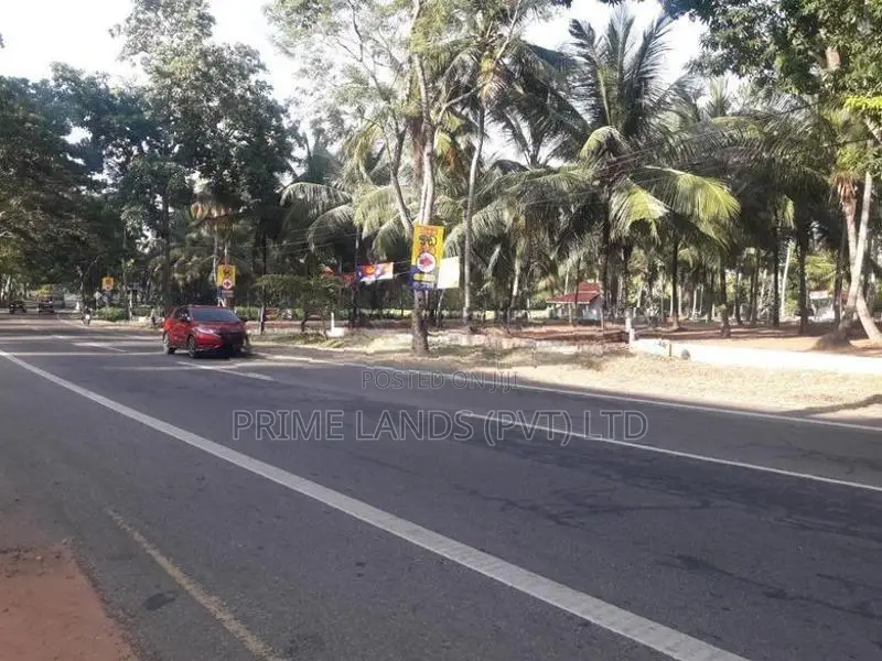 නේවාසික හෝ ව්‍යාපාරික බිම් කොටසක් විකිනීමට අඹගස්වැව