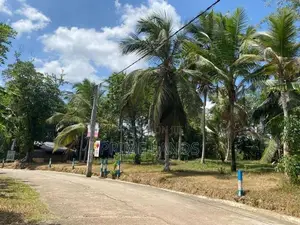 Land in Devalapola