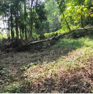 Land for Sale in Kiriella