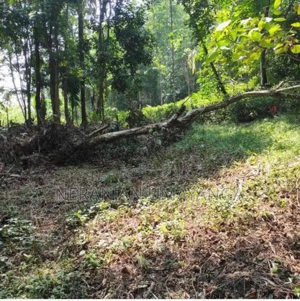 Land for Sale in Kiriella
