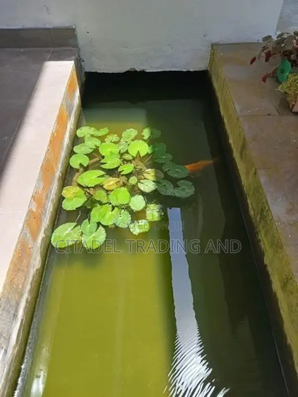 Two Storey House For Sale In Kaluthara - CH1733