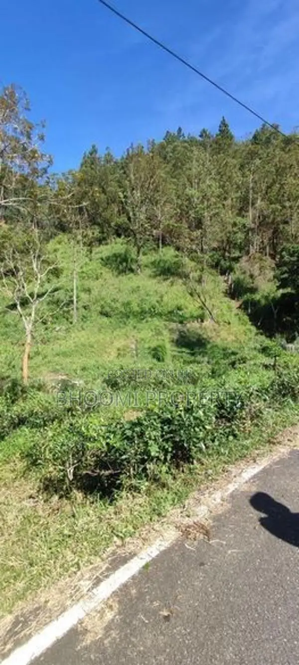 Land for sale in Haputale