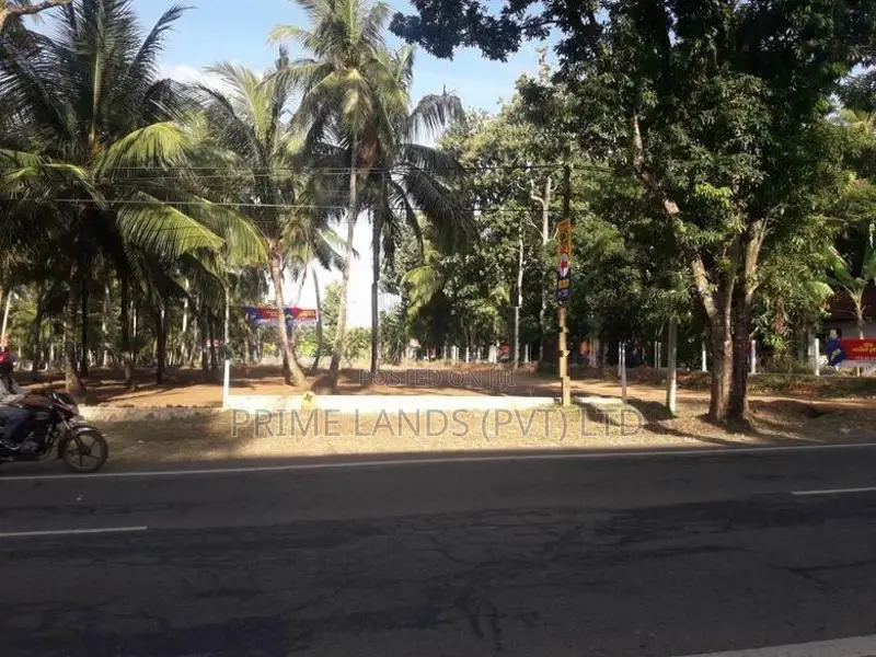 පදිංචියට ඉඩමක් අඹගස්වැව