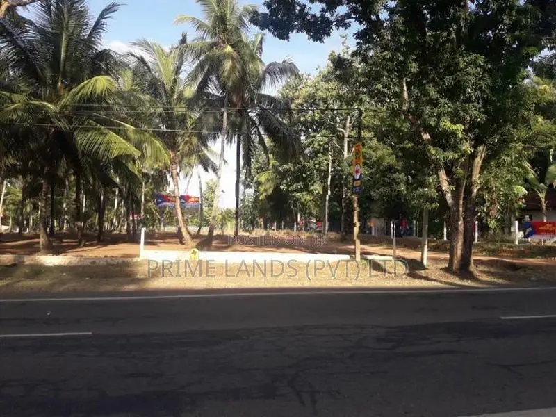 නේවාසික හෝ ව්‍යාපාරික බිම් කොටසක් විකිනීමට අඹගස්වැව