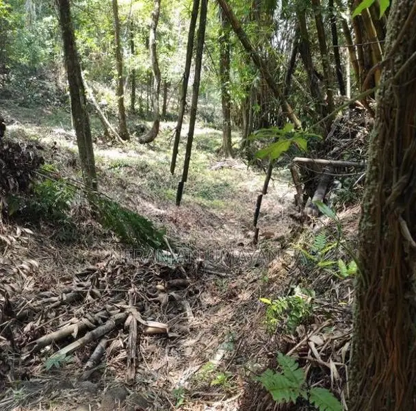 Land for Sale in Kiriella