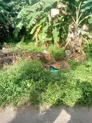 Land for Sale Kotikawatta