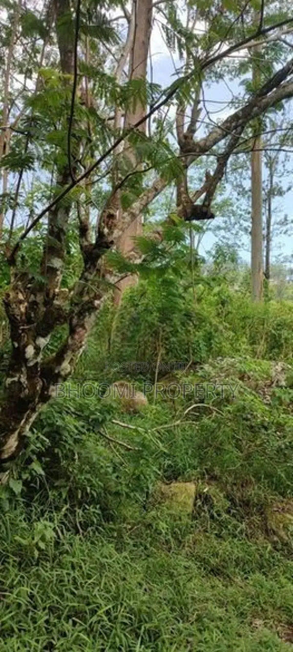 හපුතලෙන් ඉඩමක්
