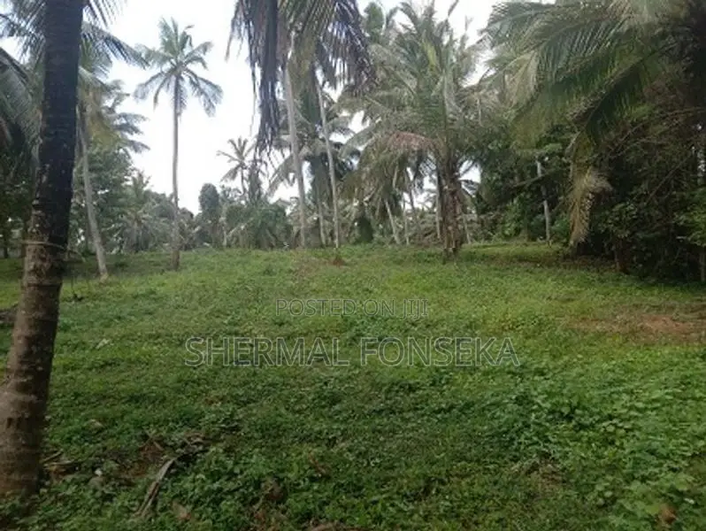 Divulapitiya Ballapana Coconut Pineapple Land with House for Sale