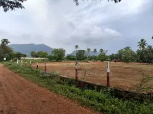 දඹුල්ල නුවර පාරට නුදුරින් සින්නක්කර බිම්කොටස්
