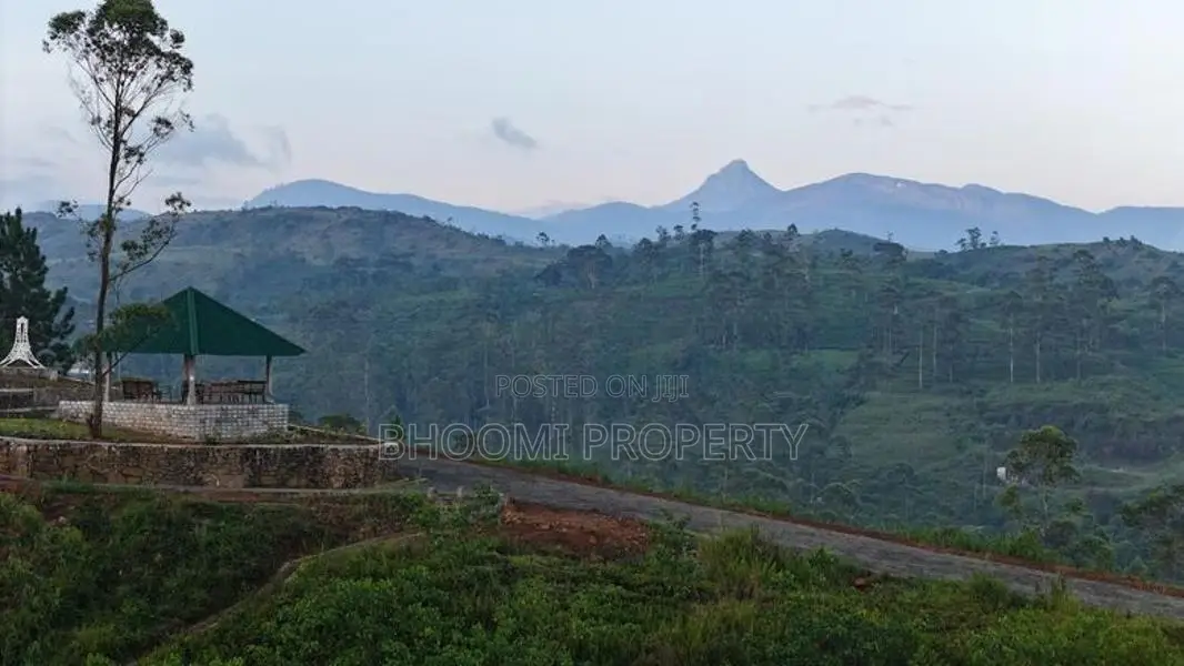 හැටන් නගරයට ලගින්ම බිම් කොටස්