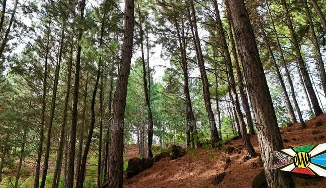 Land for sale in ella