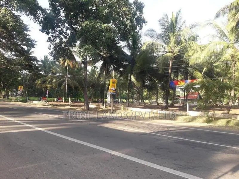 නේවාසික හෝ ව්‍යාපාරික බිම් කොටසක් විකිනීමට අඹගස්වැව