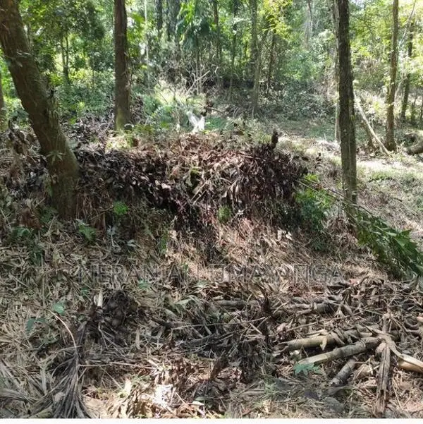 Land for Sale in Kiriella
