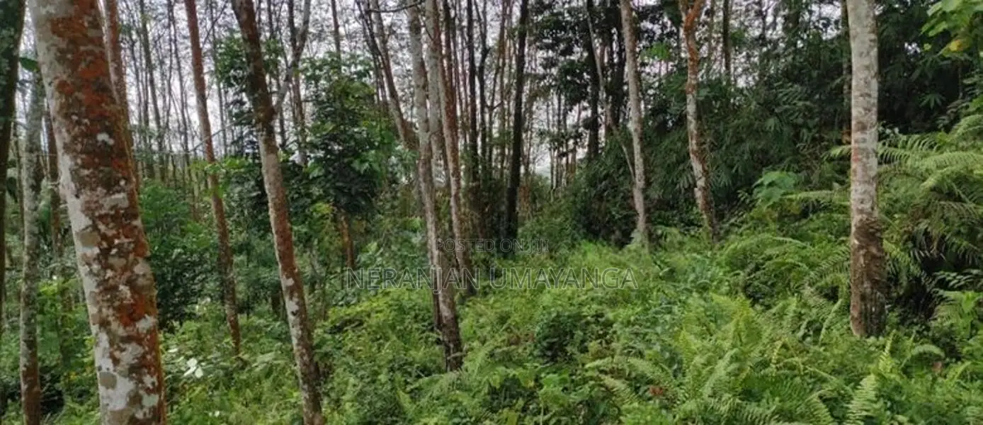 Land for Sale in Kiriella