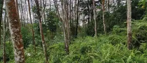 Land for Sale in Kiriella