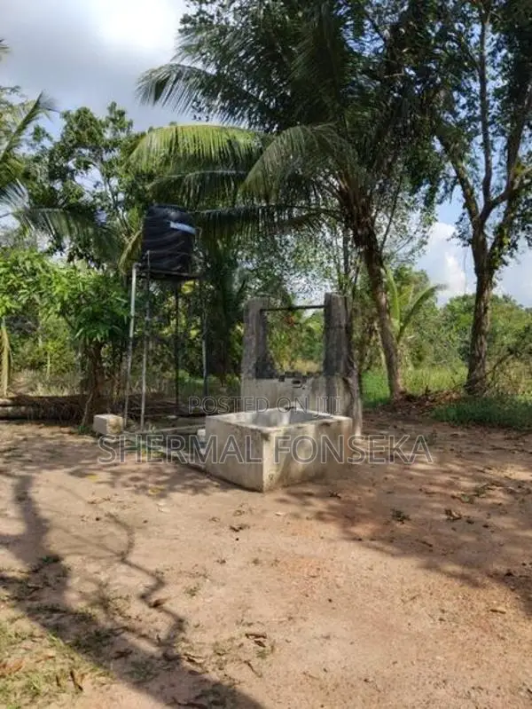 Divulapitiya Ballapana Coconut Pineapple Land with House for Sale