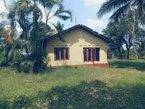 Divulapitiya Ballapana Coconut Pineapple Land with House for Sale