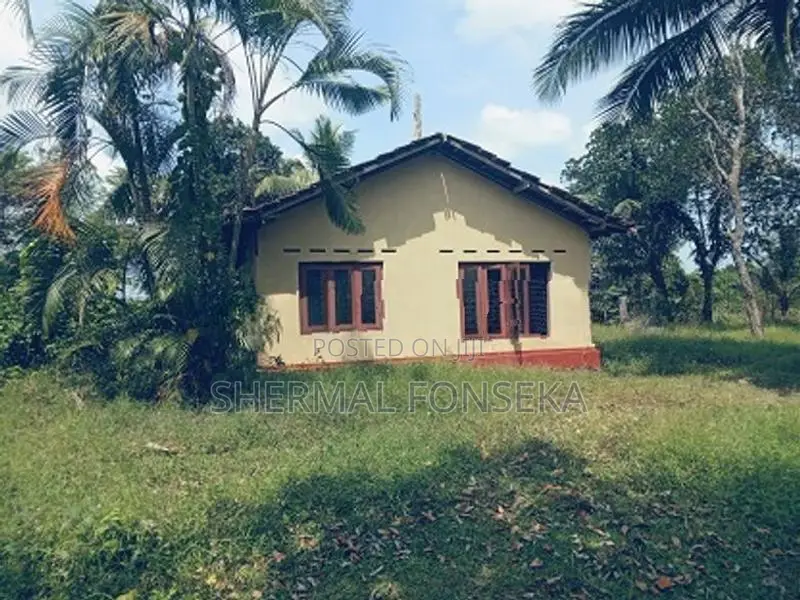 Divulapitiya Ballapana Coconut Pineapple Land with House for Sale