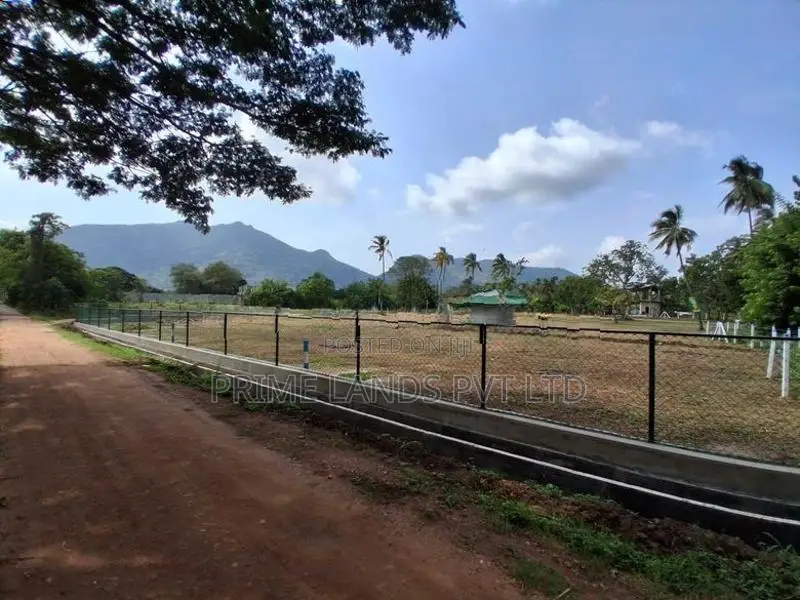 දඹුල්ල නුවර පාරට නුදුරින් සින්නක්කර බිම්කොටස්