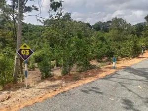 Land for Sale in Ambalangoda