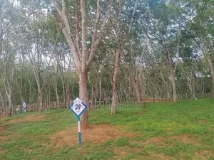 Land for Sale in Ahangama