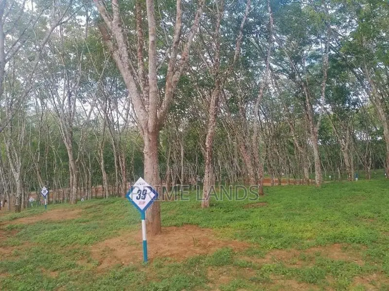 Land for Sale in Ahangama
