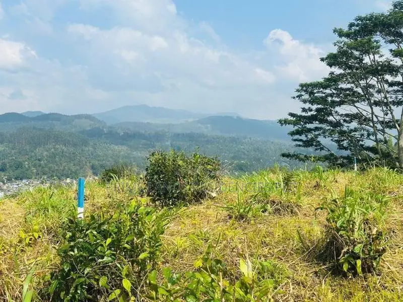 Lands for Sale in Pussellawa