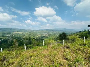 Lands for Sale in Pussellawa