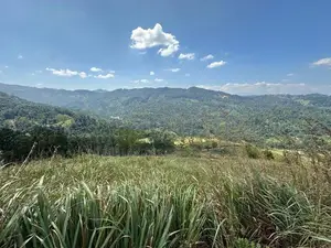 Lands for Sale in Nillamba