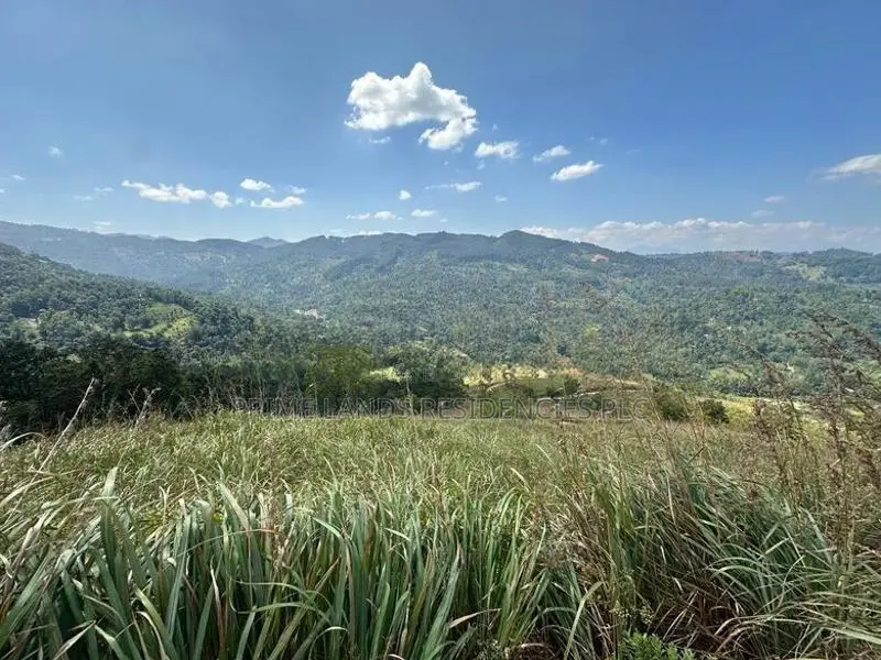 Lands for Sale in Nillamba