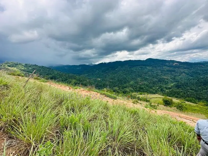 Lands for Sale in Nillamba