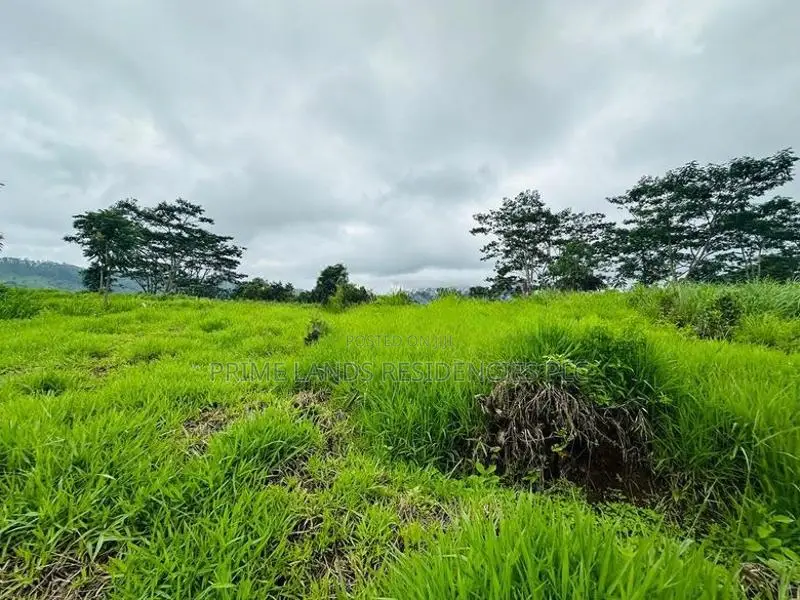 Lands for Sale in Pussellawa