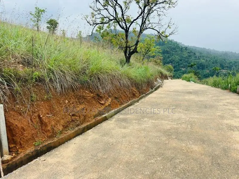 Lands for Sale in Nillamba