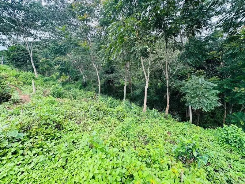 Lands for Sale in Pussellawa