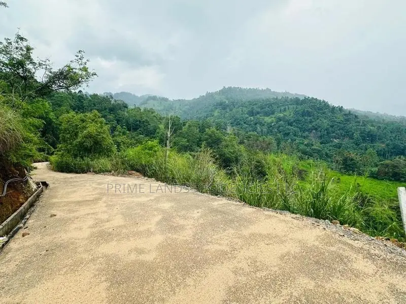 Lands for Sale in Nillamba
