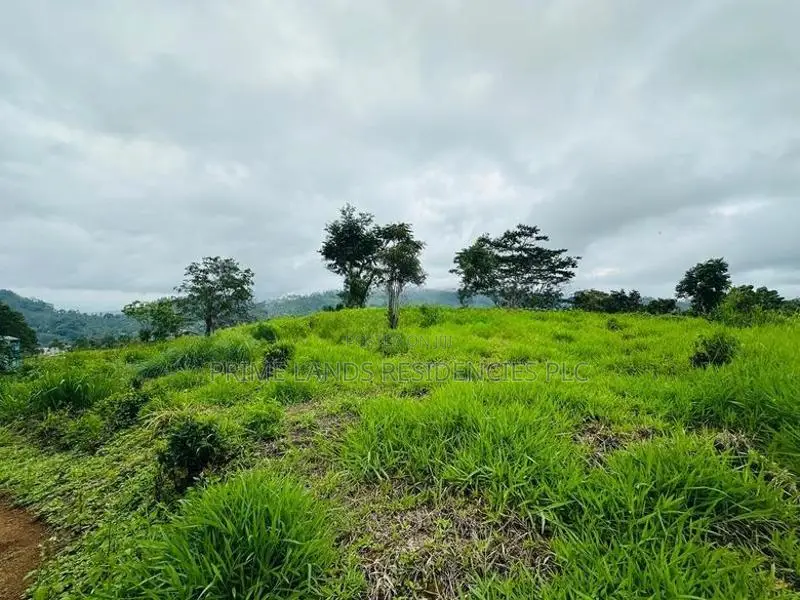 Lands for Sale in Pussellawa