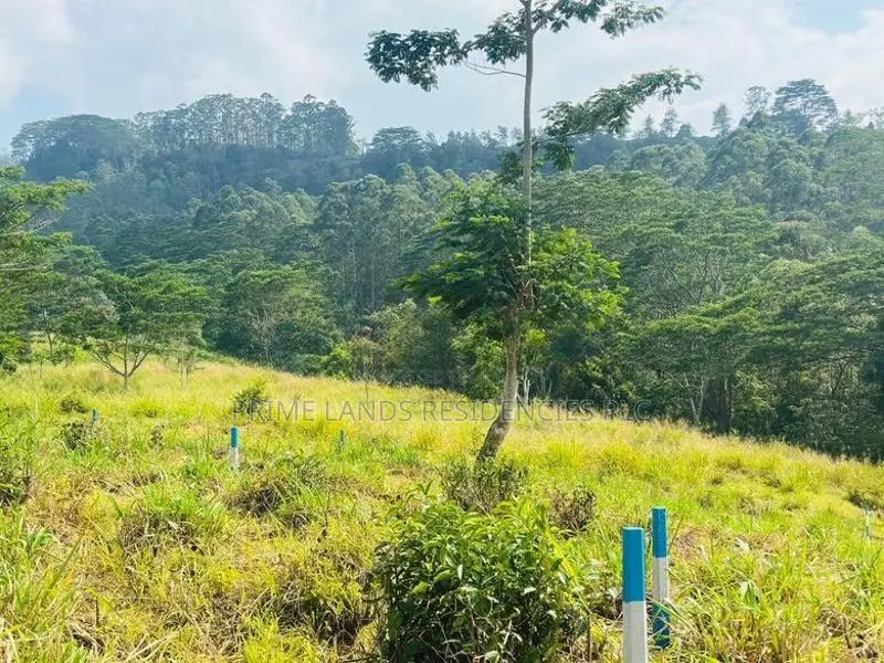 Lands for Sale in Pussellawa