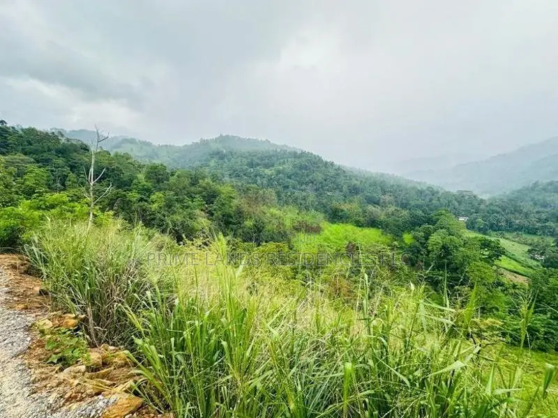 Lands for Sale in Nillamba