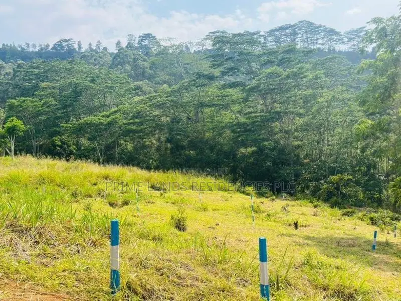 Lands for Sale in Pussellawa