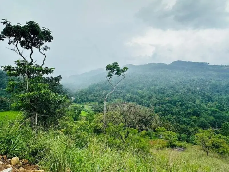 Lands for Sale in Nillamba