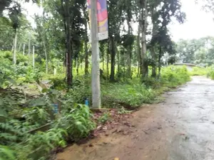 Lands for Sale in Nelumdeniya