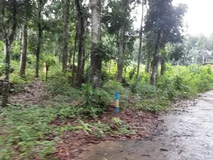 Lands for Sale in Nelumdeniya
