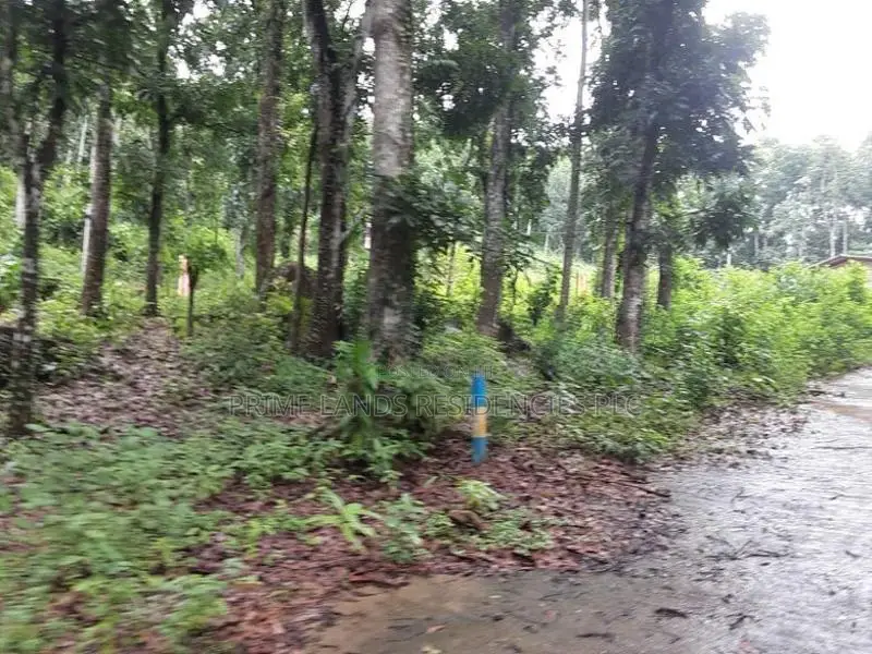 Lands for Sale in Nelumdeniya