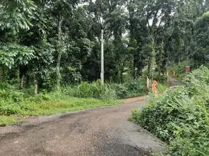Lands for Sale in Nelumdeniya