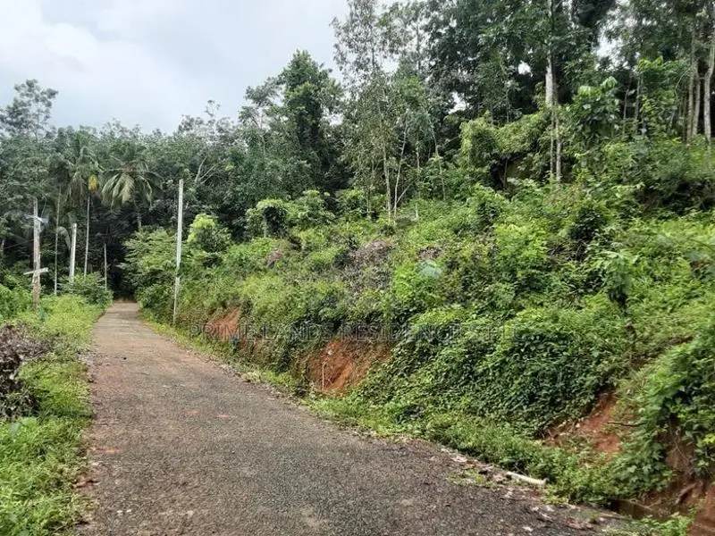Lands for Sale in Nelumdeniya