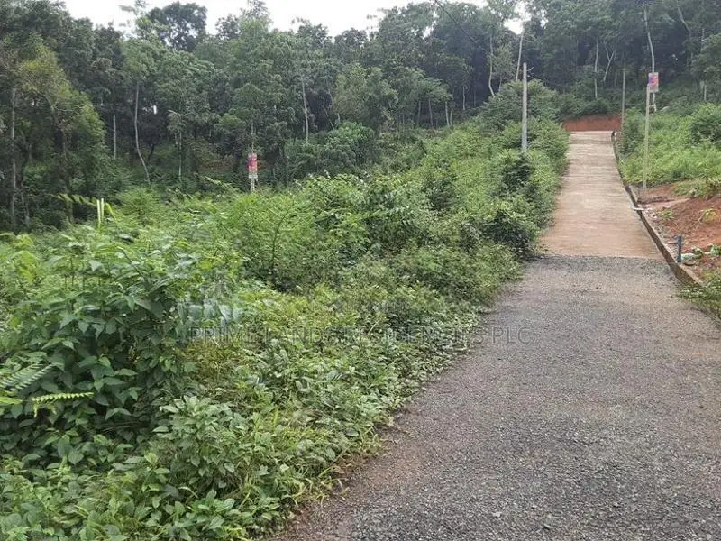 Lands for Sale in Nelumdeniya