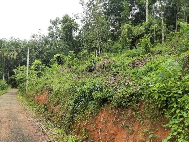 Lands for Sale in Nelumdeniya